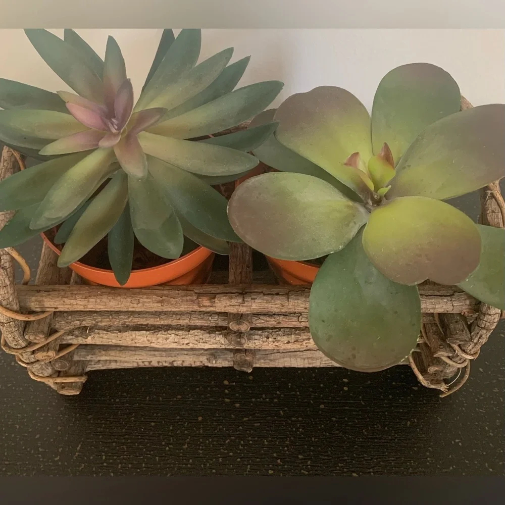 Rustic Twig Planter